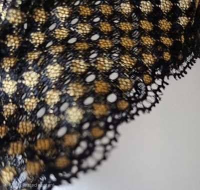 Size 4-6-8 (3XS-2XS-S) Petite Golden Geometric on Black Lace Boyshort Panties