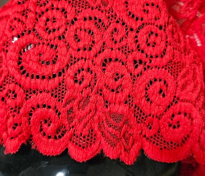 Size 8 (M) Norhan Monica Deep Red Embroidered Lace Floral Mesh Boyshorts