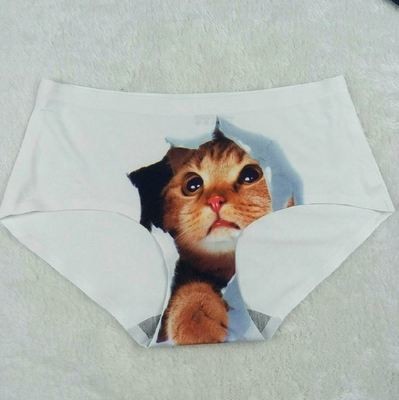 6 pack - 3D Kitty Briefs - No Trace Seamless Control Briefs