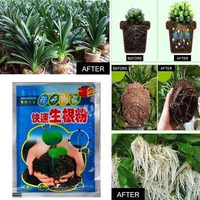 10 Packs Rapid Rooting Powder for Plant Cutting Propagation