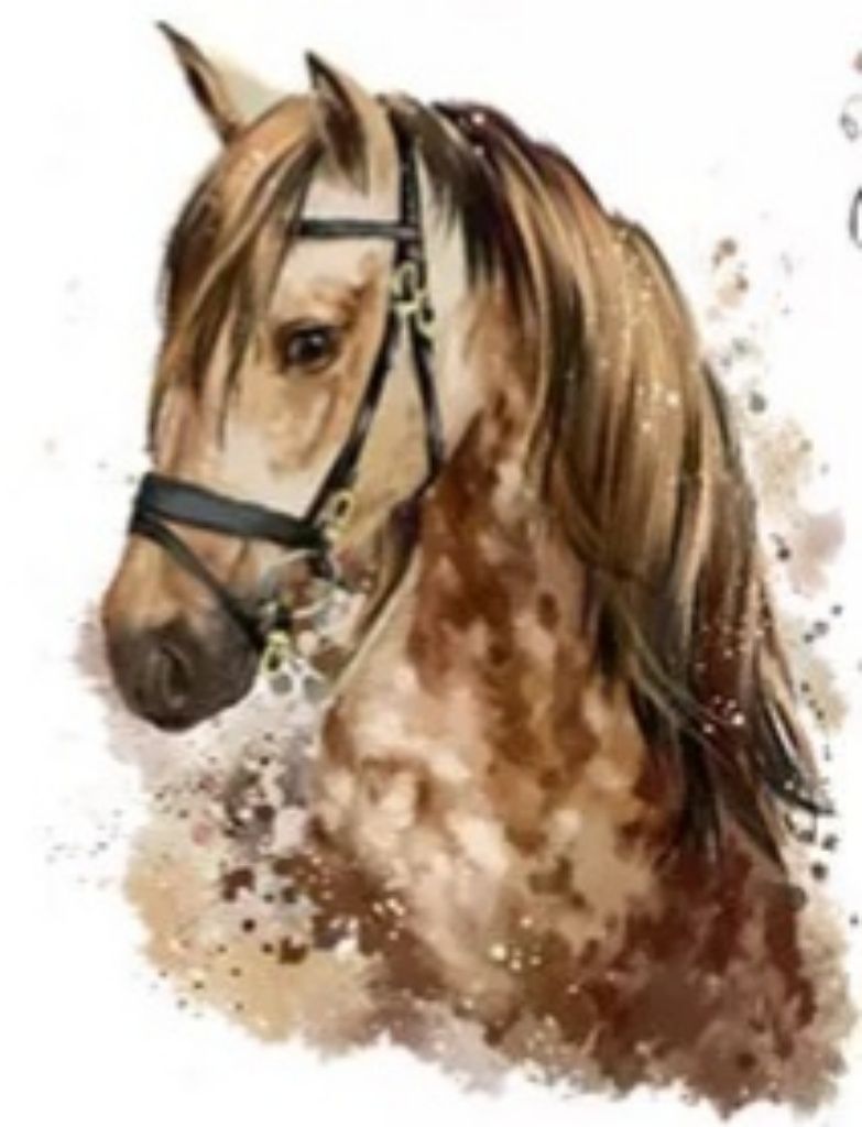 Washable T-shirt Iron-on Transfers - Horsey