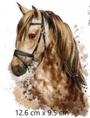 Washable T-shirt Iron-on Transfers - Horsey