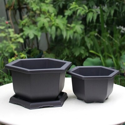 Hexagonal Solid Durable Heavy Duty Premium Bonsai Pot/Tray