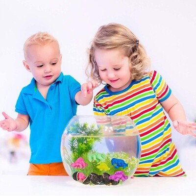 Hatch Watch Grow Mini Dinosaur Eggs