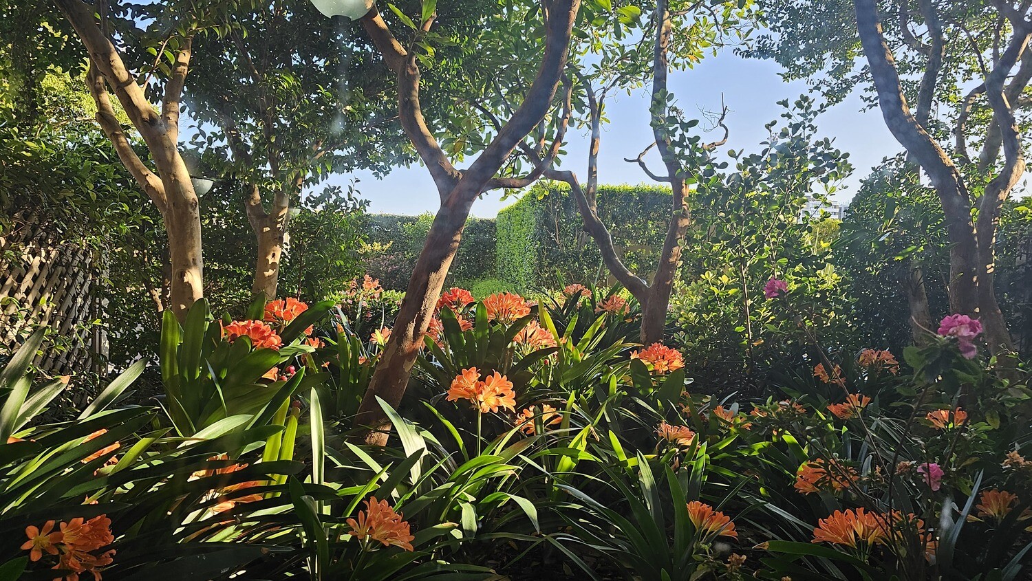 Gardens and Plants