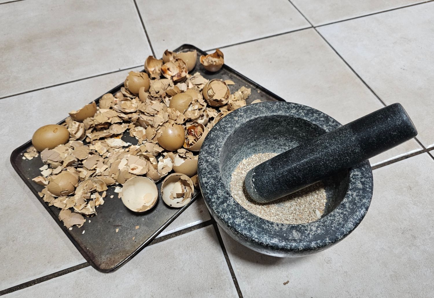 🌿 Eggshells for Plants — Quick Prep Guide