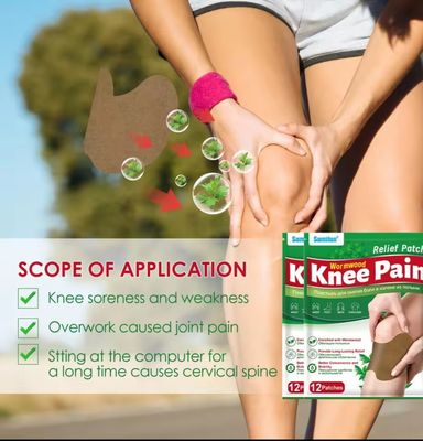 24 Pcs Herbal Natural Ingredient Knee Pain Relief Patch