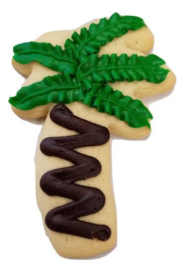 Palm Tree