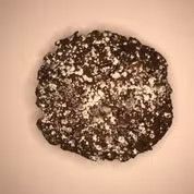 Chocolate Chocolate Chip