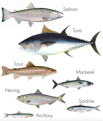2kg Sprats