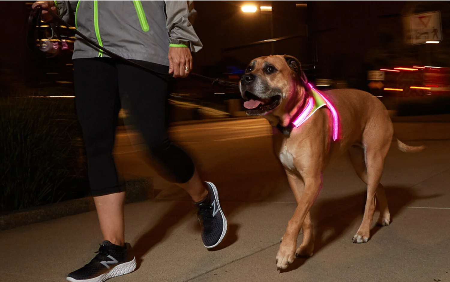 Noxgear Lighthound