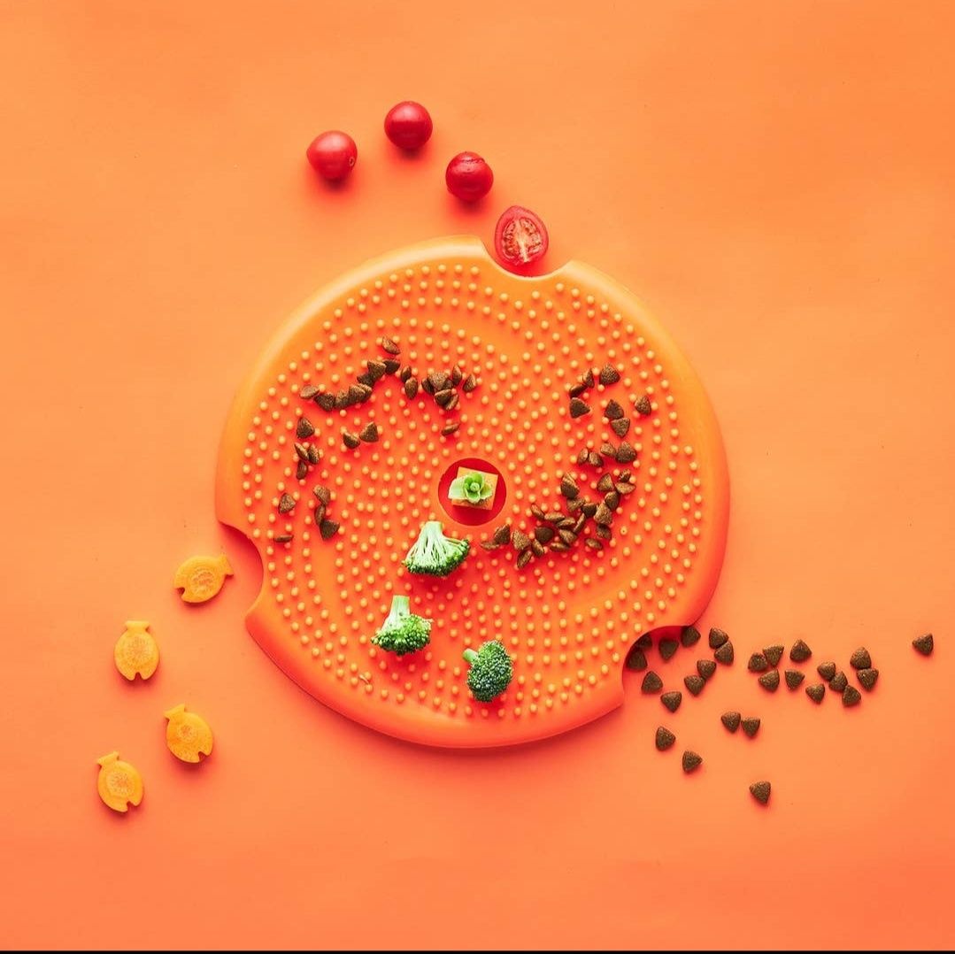 SPIN accessories - lick flying disk
