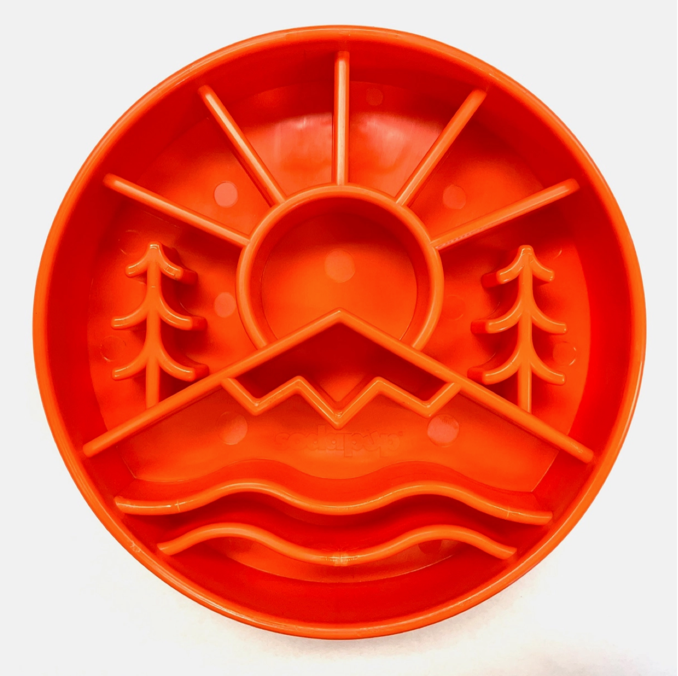 Slow feeder bowl