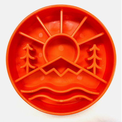 Slow feeder bowl