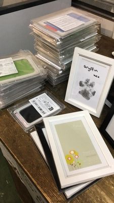 Paw print kit