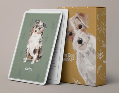 Calm Dog Games