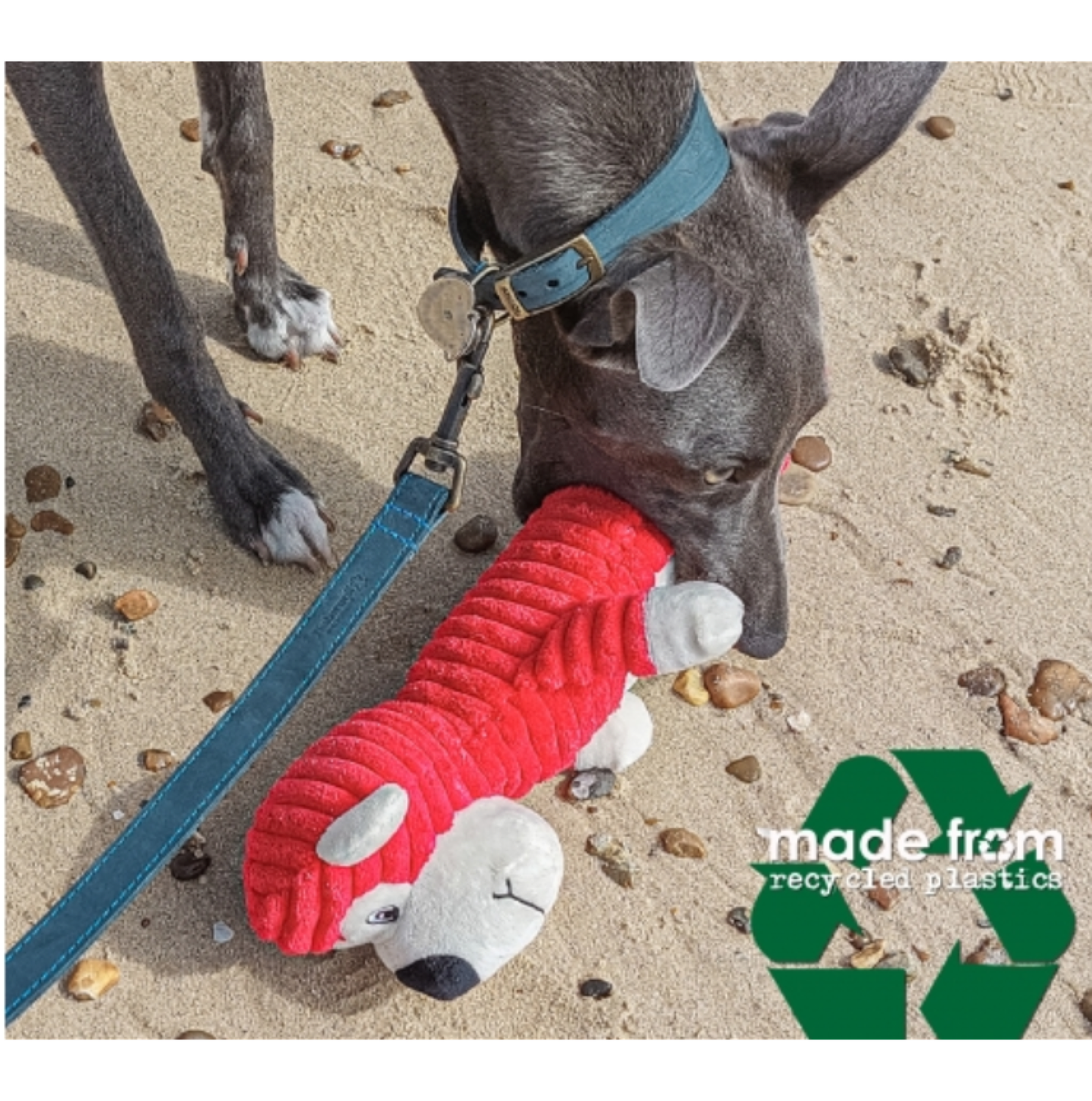 Bottle buddy toy