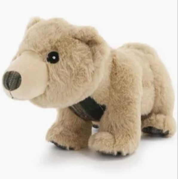 Bear