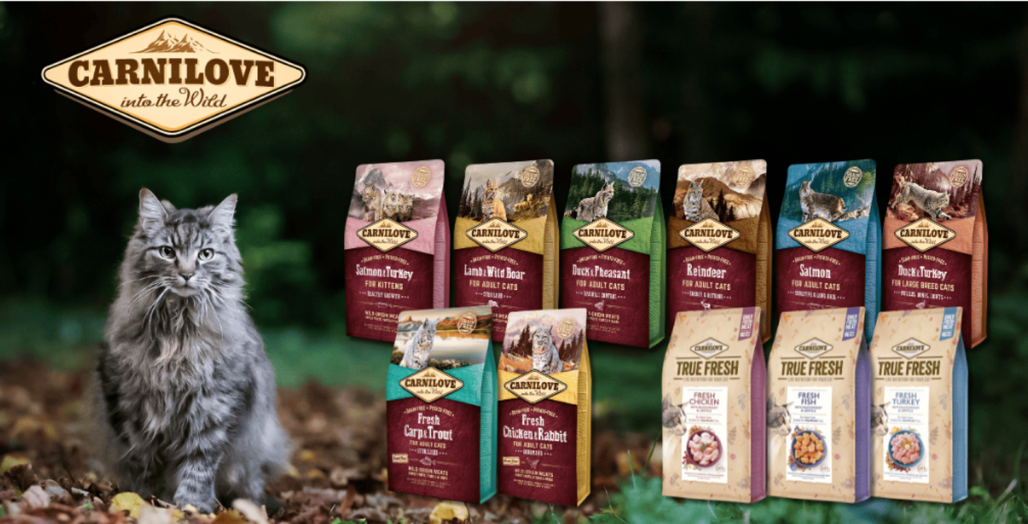 Carnilove Lamb and wild boar cat kibble