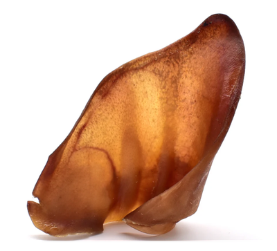 Single pigs ear