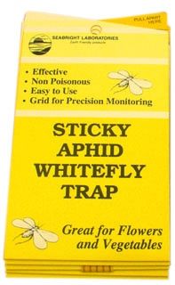 YELLOW STICKY APHID WHITEFLY TRAP