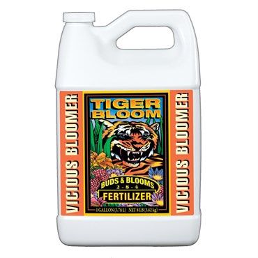 1 GAL. TIGER BLOOM