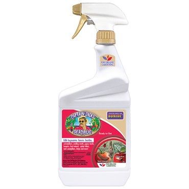 CAPTAIN JACKS DEAD BUG BREW