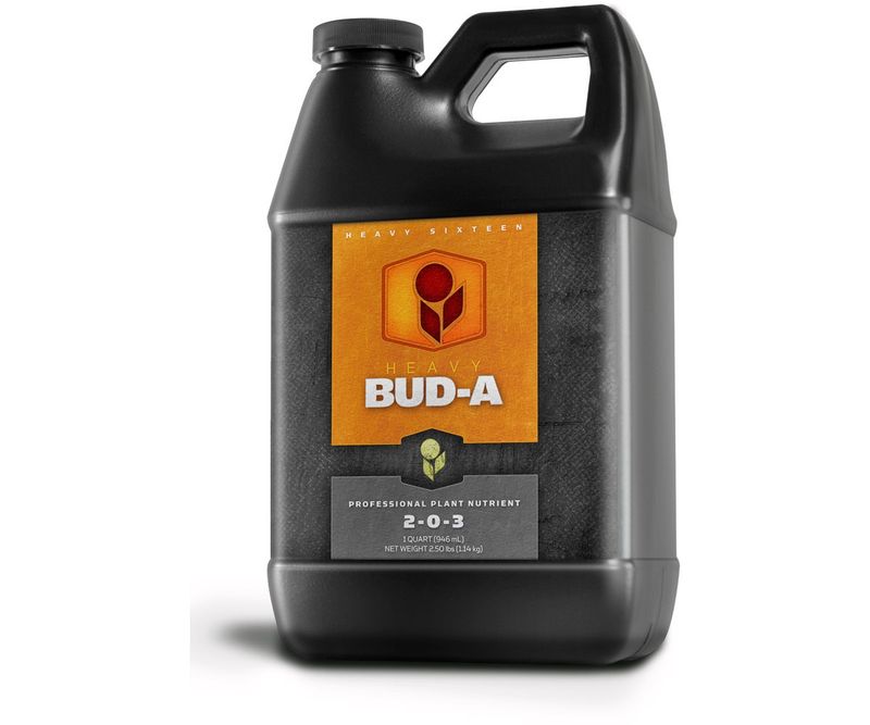 1 QT. HEAVY 16 BUD A