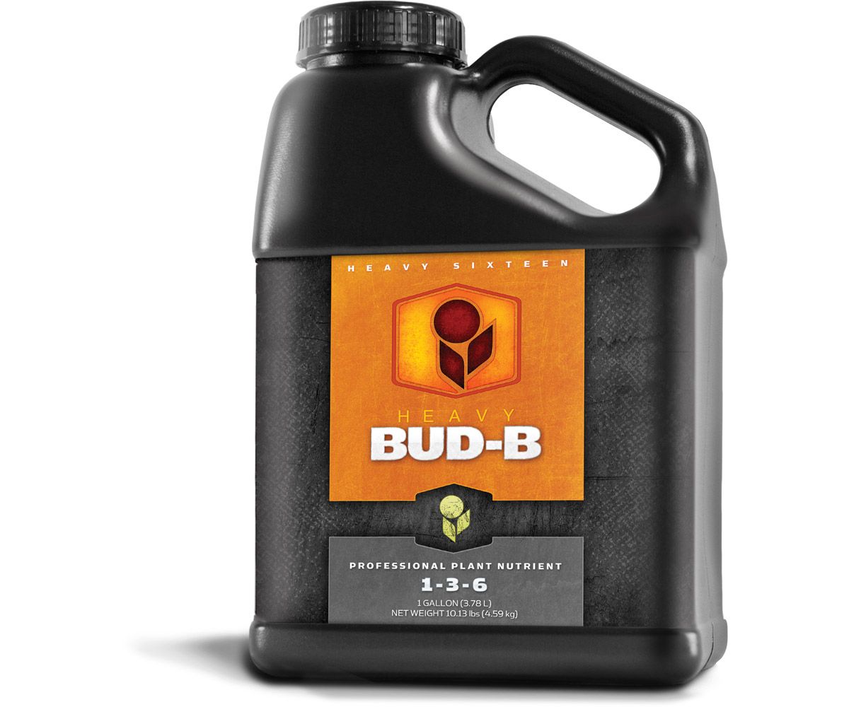 1 GAL HEAVY 16 BUD B