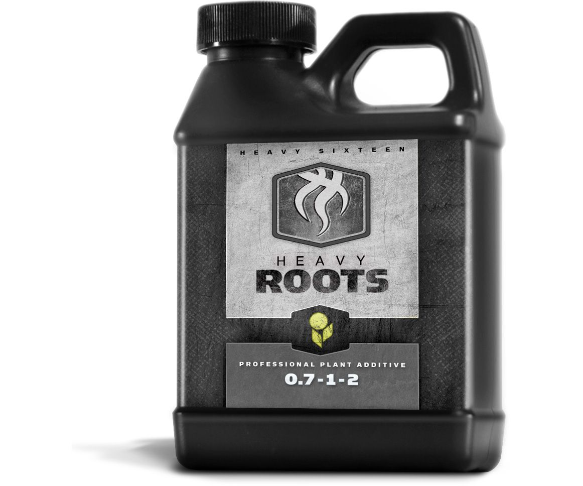 1 PINT HEAVY 16 ROOTS