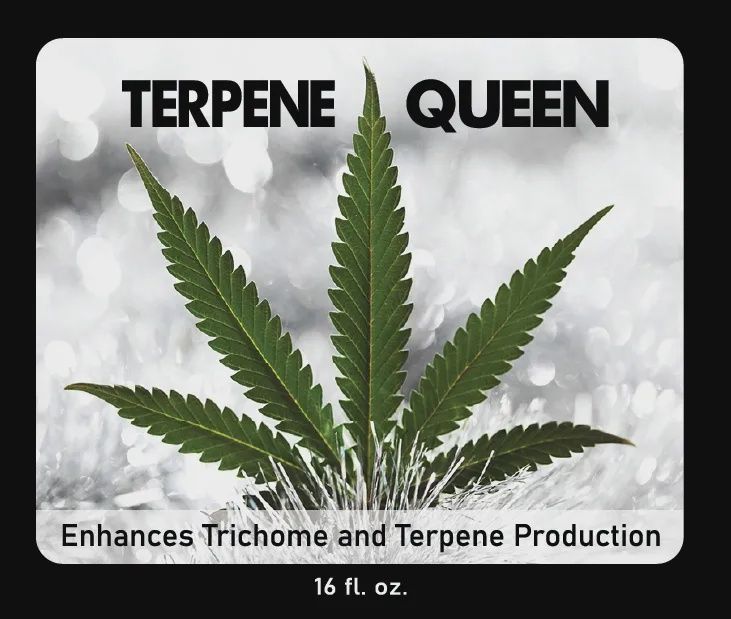 16 OZ. MEIGS FERTILIZER TERPENE QUEEN
