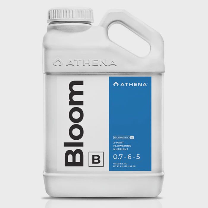 1 GAL. ATHENA BLOOM B