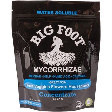 Big Foot™ Mycorrhizae Concentrate - 8oz - Concentrate