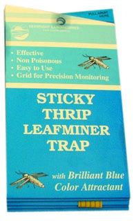 Seabright Laboratories Thrip/Leafminer Traps, 5 pack
