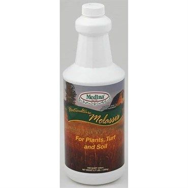 1 QT MEDINA MOLASSES