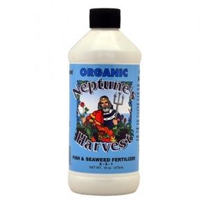 Neptunes Harvest Fish Seaweed Blend Quart Blue label 36 oz