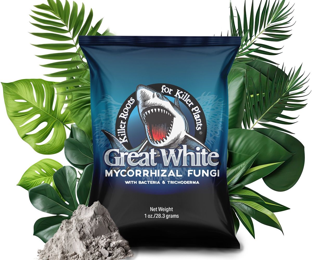 Great White Mycorrhizal Fungi, 1 oz
