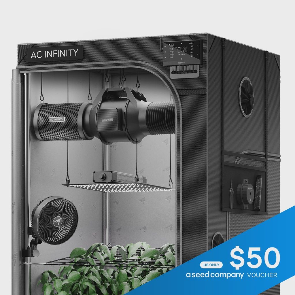 AC INFINITY CLOUDLAB 894, ADVANCE GROW TENT 8X4, THICKEST POLES AND CANVAS 96"X48"X80"