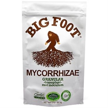 Big Foot™ Mycorrhizae Granular - 2lb