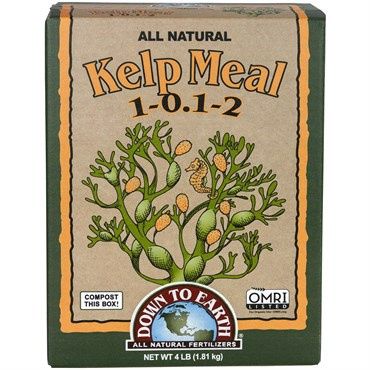 Down to Earth™ Kelp Meal 1-0.1-2 - 4lb - OMRI Listed®