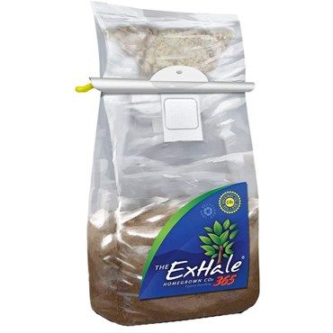 EXHALE HOMEGROWN CO2 365 SELF ACTIVATED