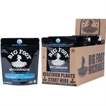 4 OZ BIG FOOT MYCORRHIZAE CONCENTRATE