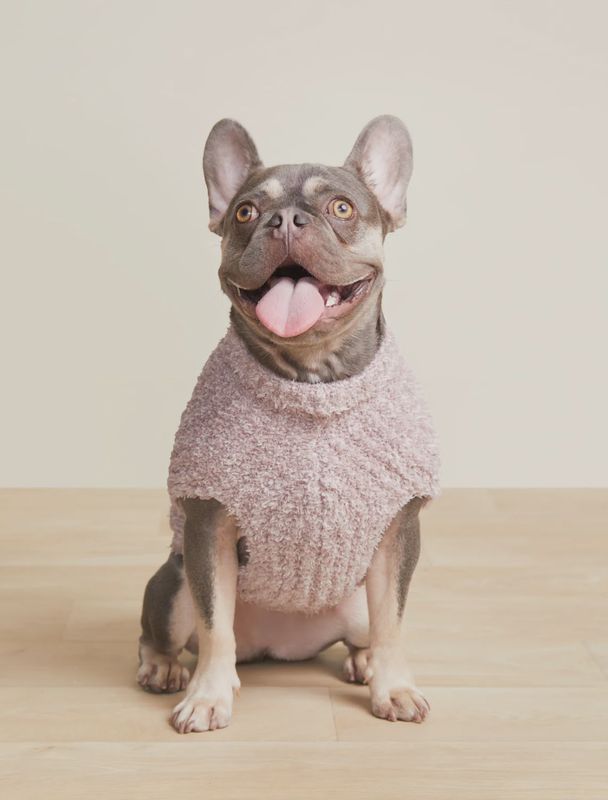CozyChic Ribbed Pet Sweater
