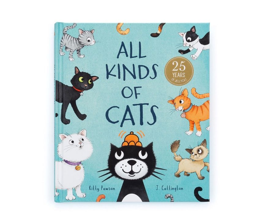 All Kinds Of Cats Book