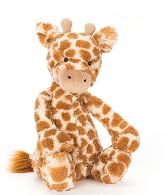 Bashful Giraffe