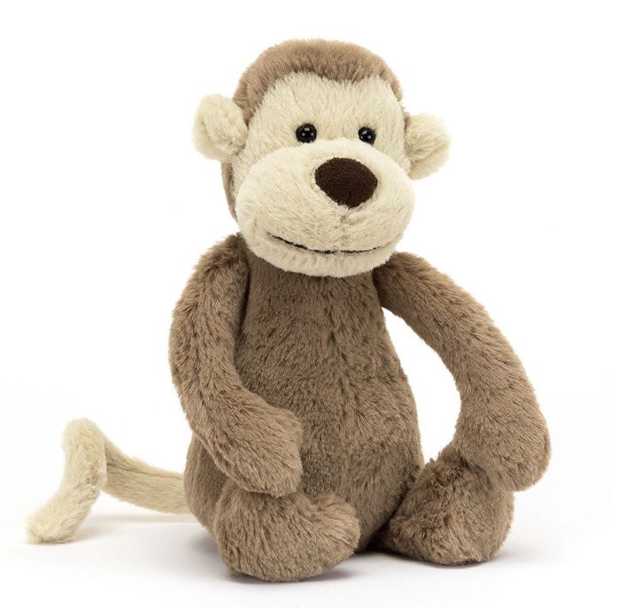 Small Bashful Monkey