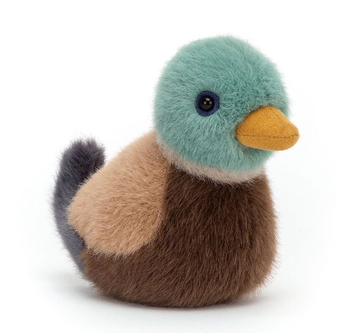 Birdling Mallard