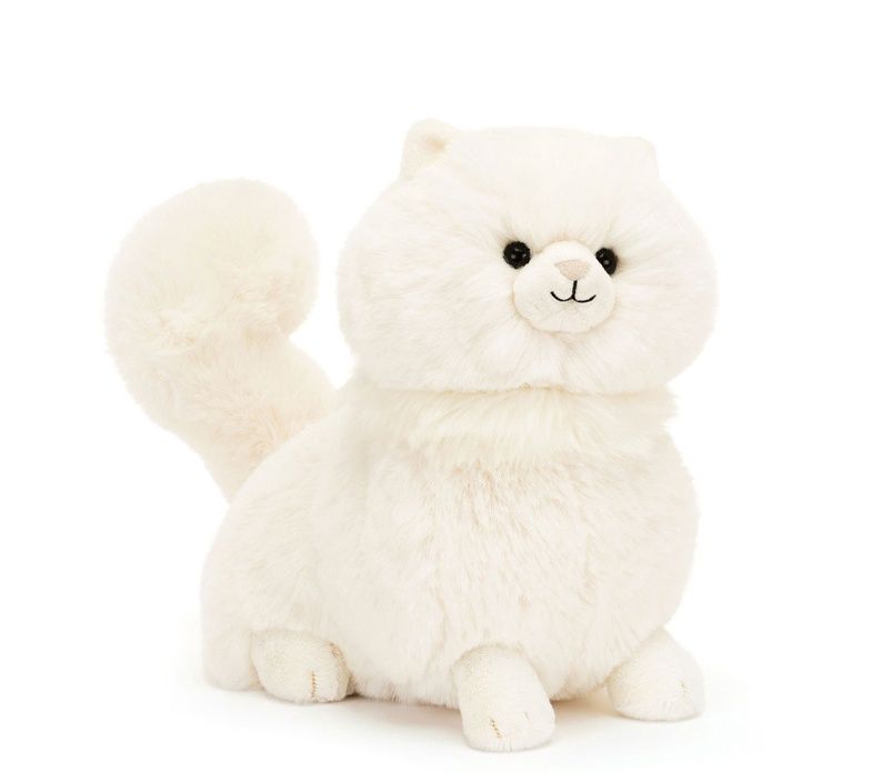 Carissa Persian Cat