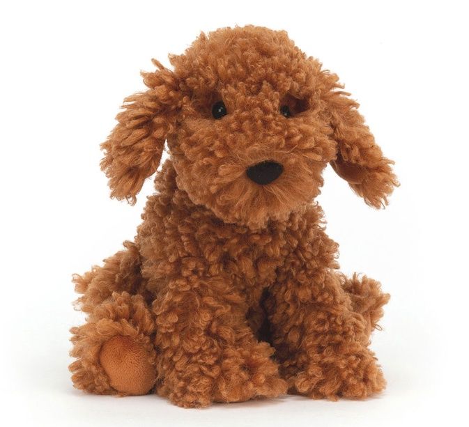Cooper Doodle Dog