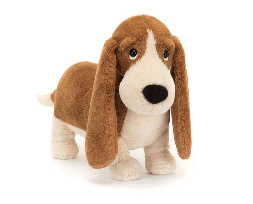 Randall Basset Hound